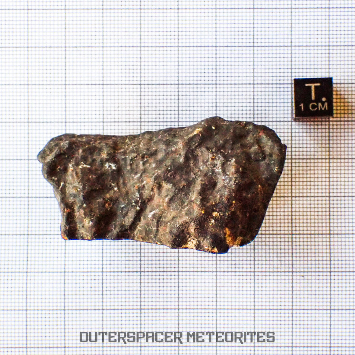 Hammadah al Hamra 346 (aka. Ghadamis) - L6 Ordinary Chondrite - Complete Individual - 67.55g - Libya