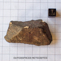 Hammadah al Hamra 346 (aka. Ghadamis) - L6 Ordinary Chondrite - Complete Individual - 67.55g - Libya
