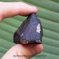 Hammadah al Hamra 346 (aka. Ghadamis) - L6 Ordinary Chondrite - Complete Individual - 83.2g - Libya