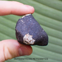 Hammadah al Hamra 346 (aka. Ghadamis) - L6 Ordinary Chondrite - Complete Individual - 83.2g - Libya