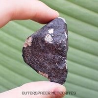 Hammadah al Hamra 346 (aka. Ghadamis) - L6 Ordinary Chondrite - Complete Individual - 83.2g - Libya
