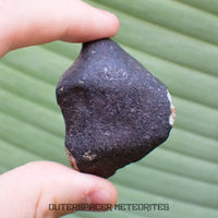 Hammadah al Hamra 346 (aka. Ghadamis) - L6 Ordinary Chondrite - Complete Individual - 83.2g - Libya