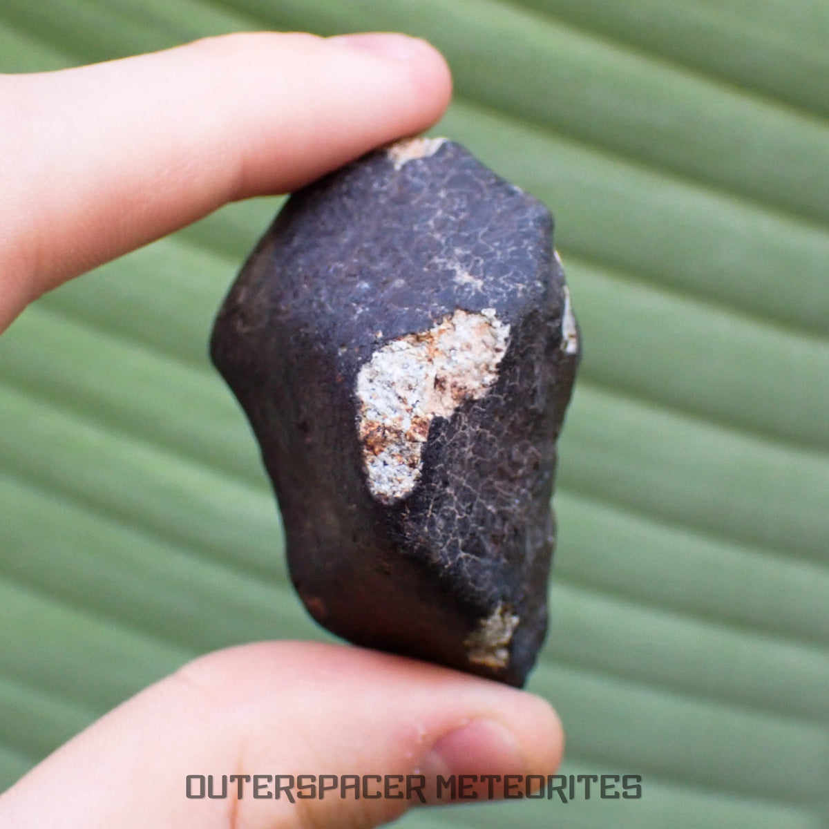 Hammadah al Hamra 346 (aka. Ghadamis) - L6 Ordinary Chondrite - Complete Individual - 83.2g - Libya