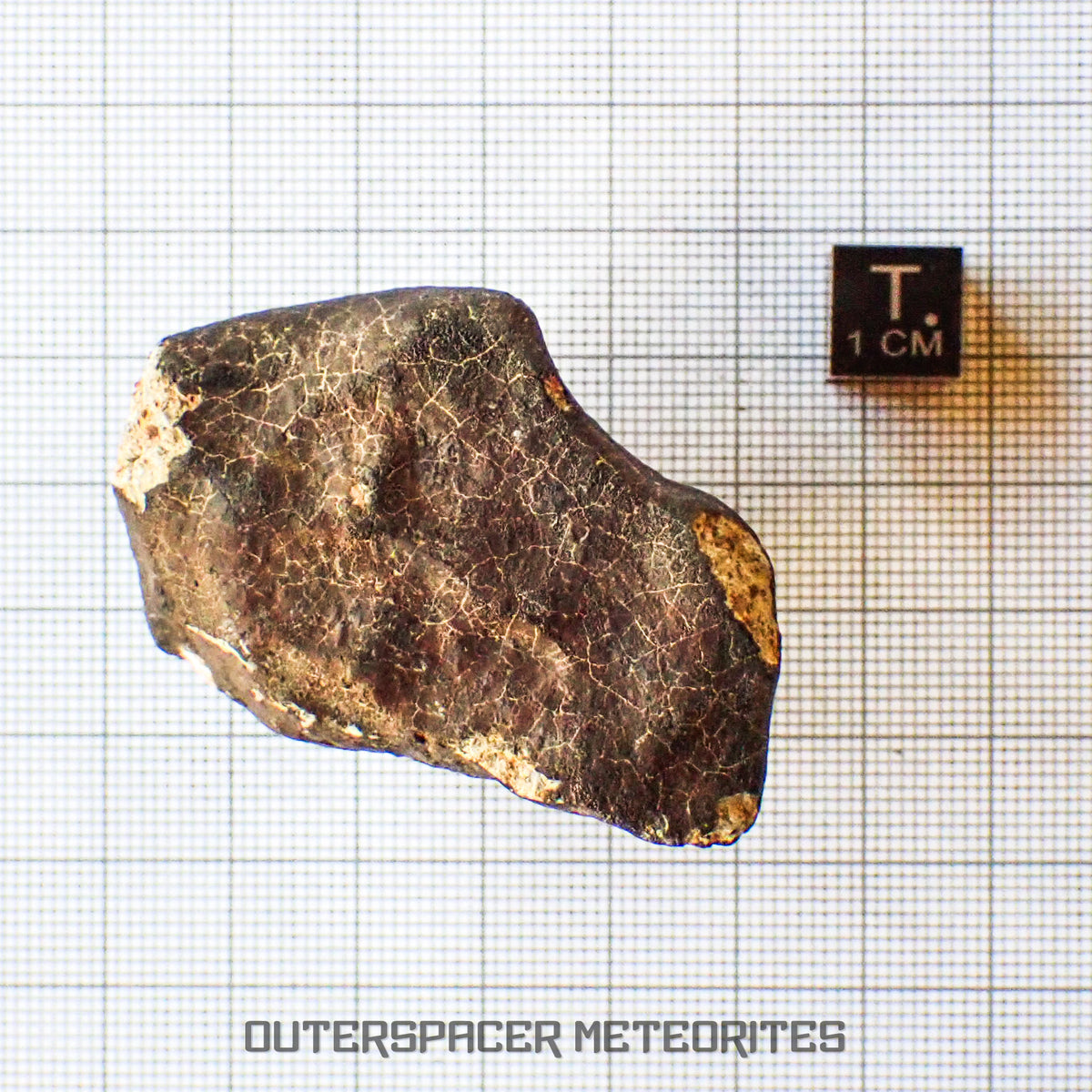 Hammadah al Hamra 346 (aka. Ghadamis) - L6 Ordinary Chondrite - Complete Individual - 83.2g - Libya
