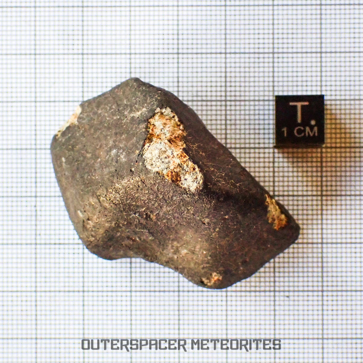 Hammadah al Hamra 346 (aka. Ghadamis) - L6 Ordinary Chondrite - Complete Individual - 83.2g - Libya