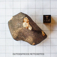 Hammadah al Hamra 346 (aka. Ghadamis) - L6 Ordinary Chondrite - Complete Individual - 83.2g - Libya