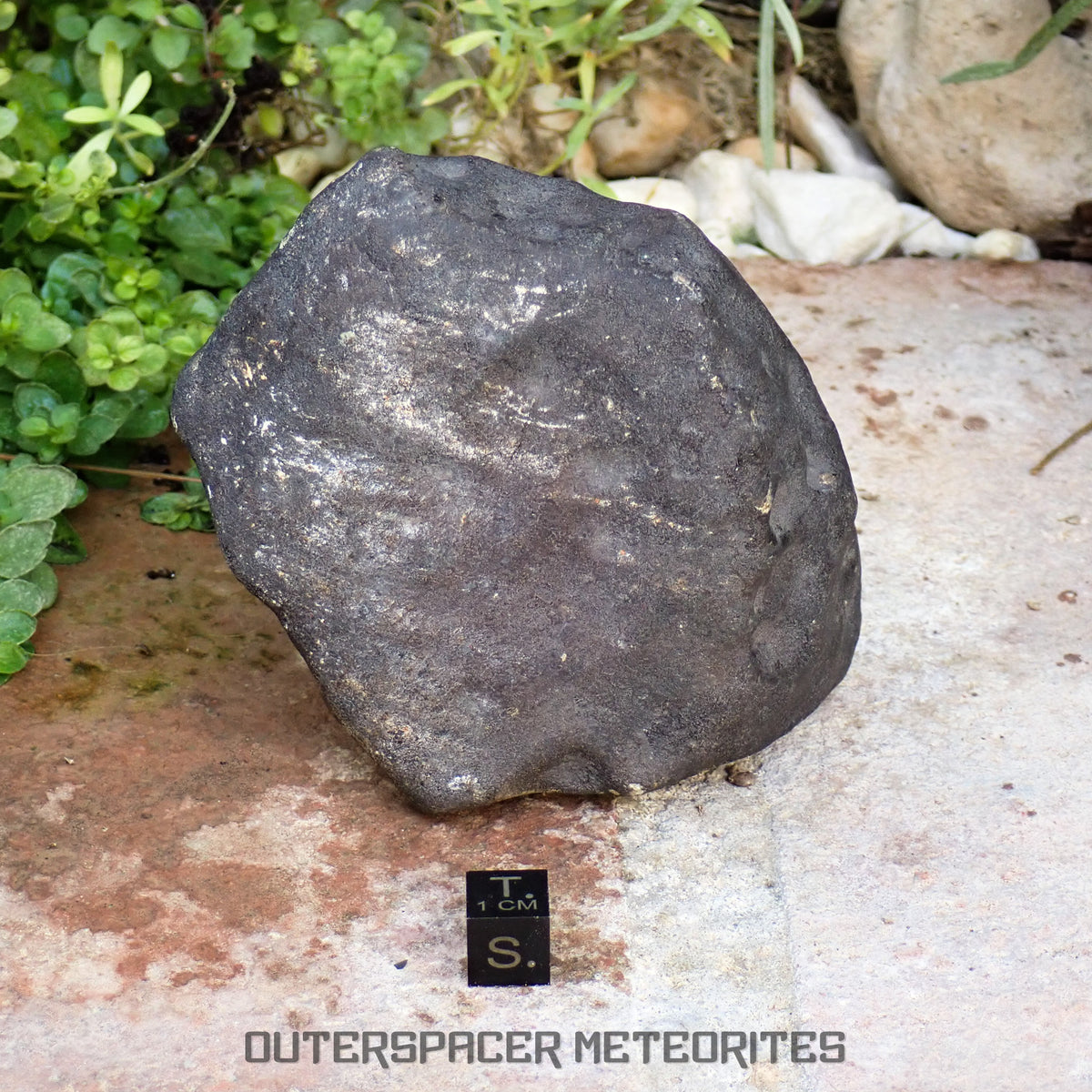 Hammadah al Hamra 346 (aka. Ghadamis) - L6 Ordinary Chondrite 1456g