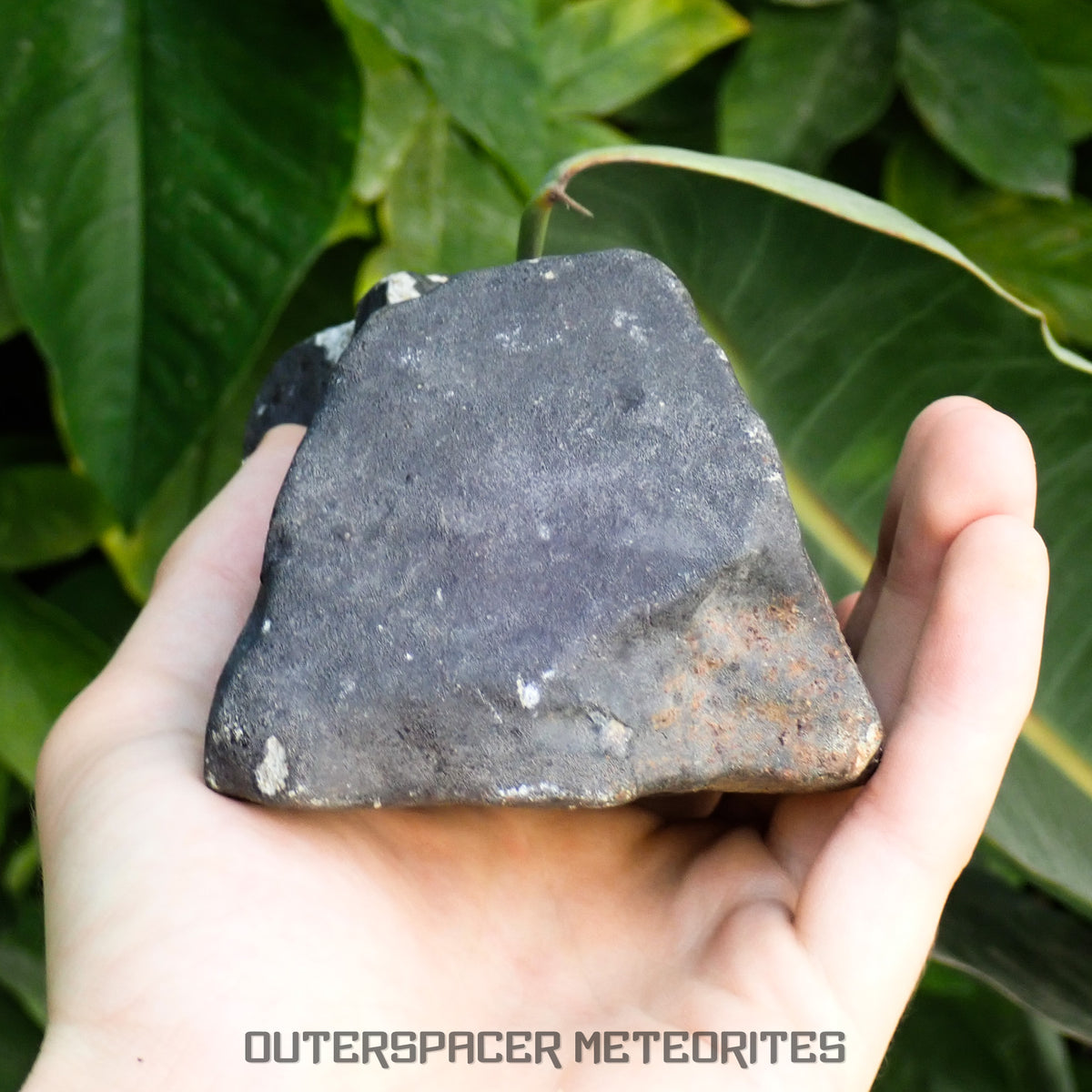 Hammadah al Hamra 346 (aka. Ghadamis) - L6 Ordinary Chondrite 1456g