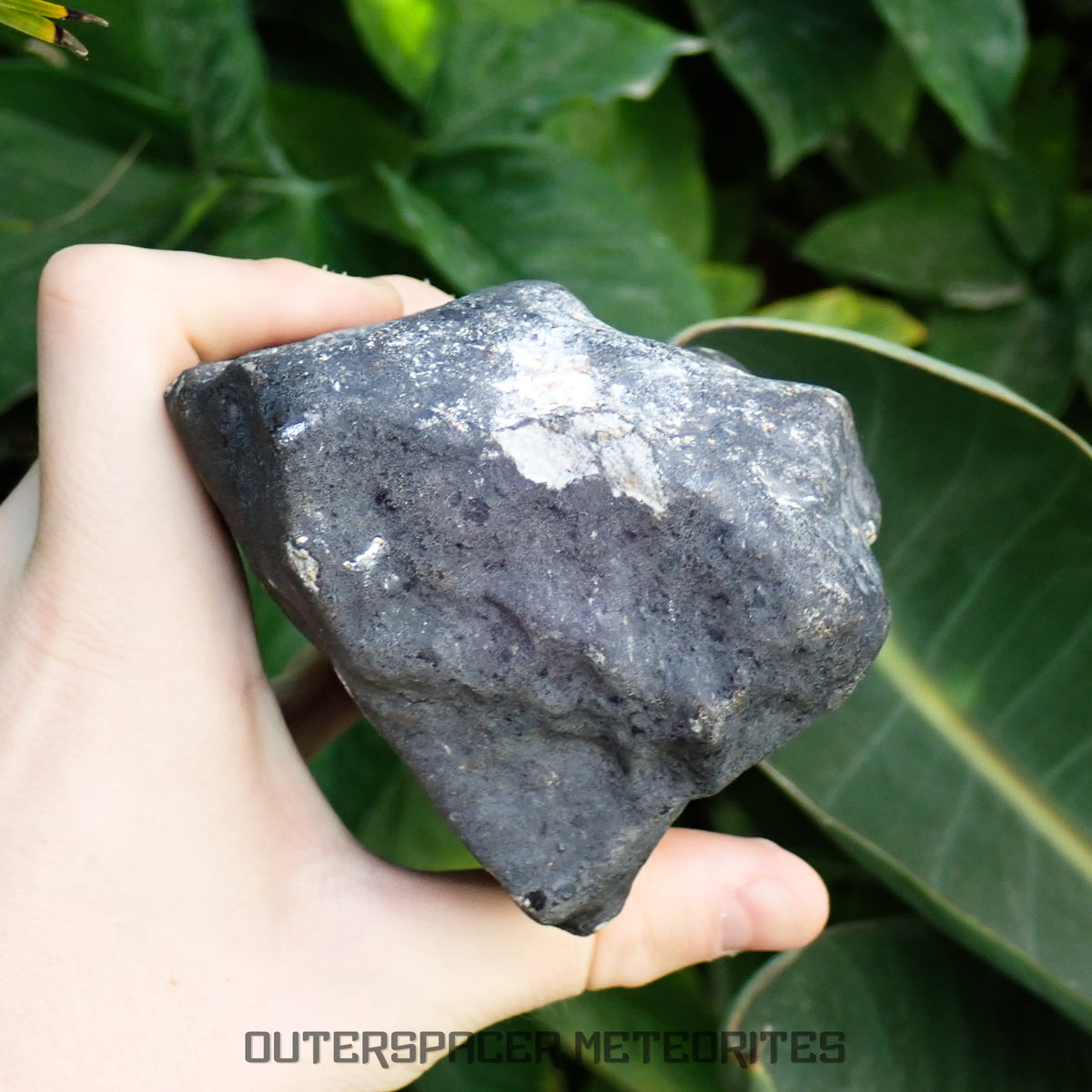 Hammadah al Hamra 346 (aka. Ghadamis) - L6 Ordinary Chondrite 1456g