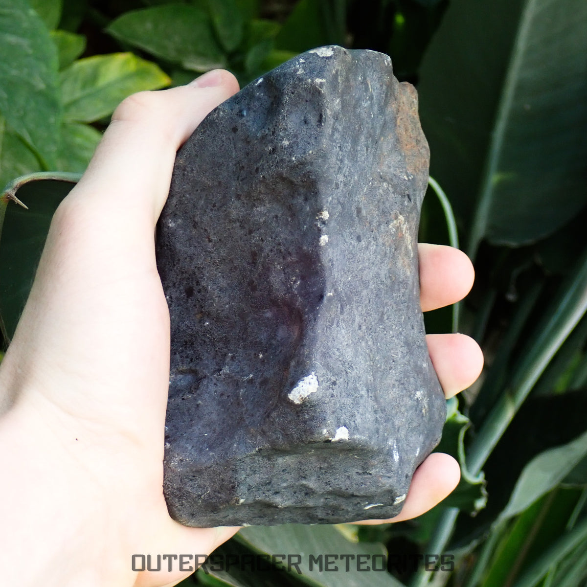 Hammadah al Hamra 346 (aka. Ghadamis) - L6 Ordinary Chondrite 1456g