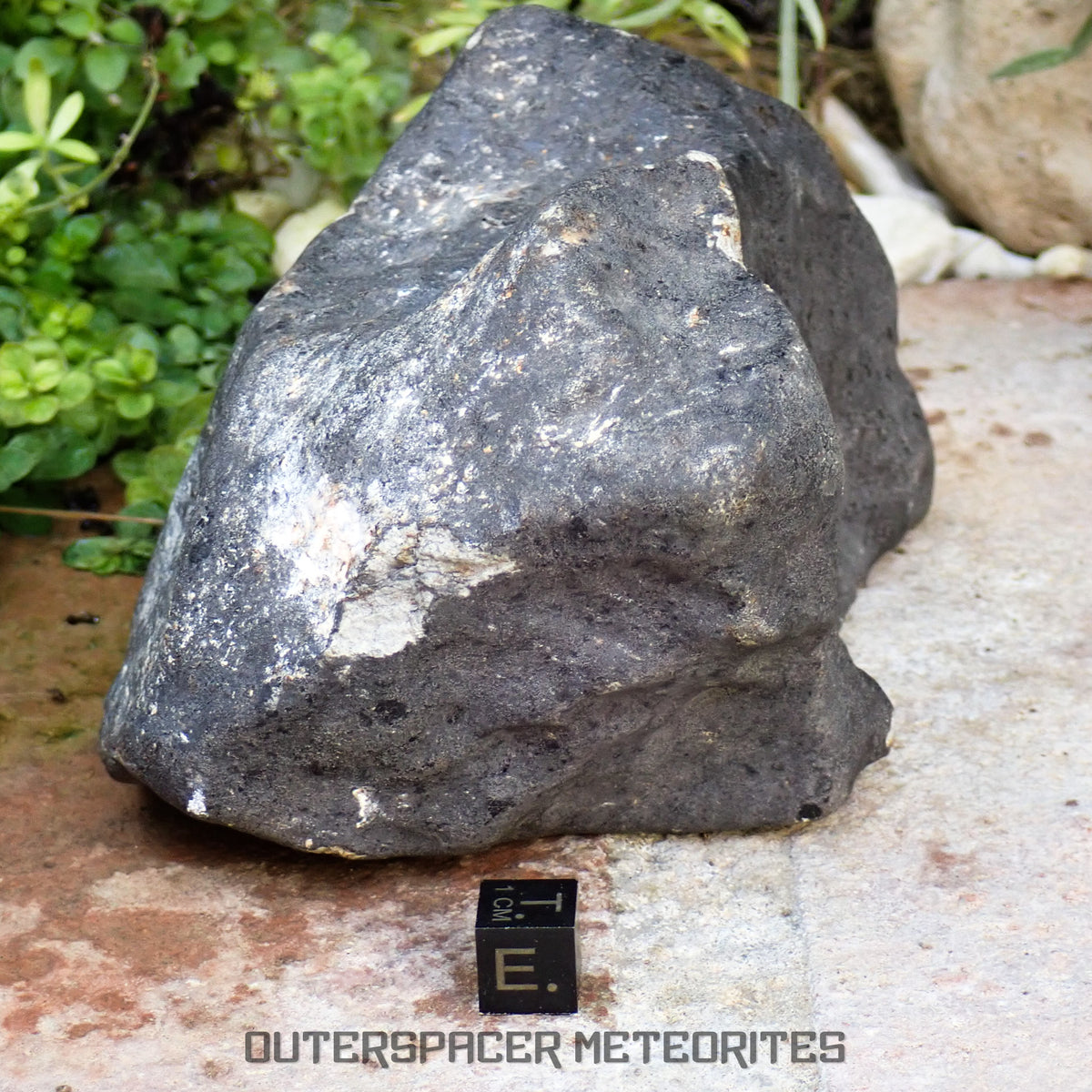 Hammadah al Hamra 346 (aka. Ghadamis) - L6 Ordinary Chondrite 1456g