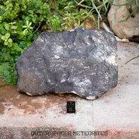 Hammadah al Hamra 346 (aka. Ghadamis) - L6 Ordinary Chondrite 1456g