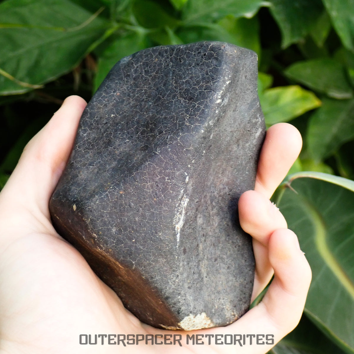 Hammadah al Hamra 346 (aka. Ghadamis) - L6 Ordinary Chondrite 825g
