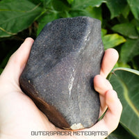 Hammadah al Hamra 346 (aka. Ghadamis) - L6 Ordinary Chondrite 825g