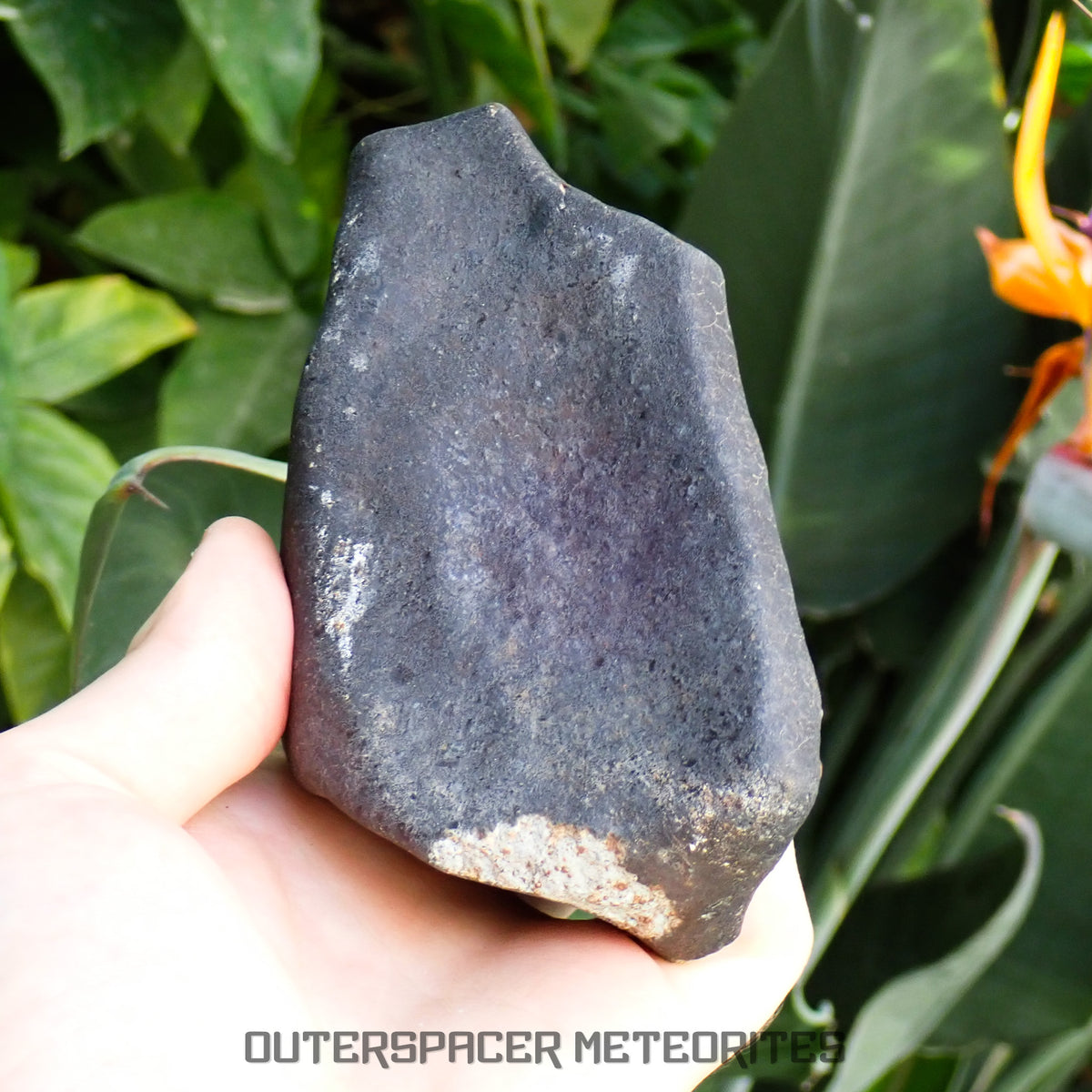 Hammadah al Hamra 346 (aka. Ghadamis) - L6 Ordinary Chondrite 825g