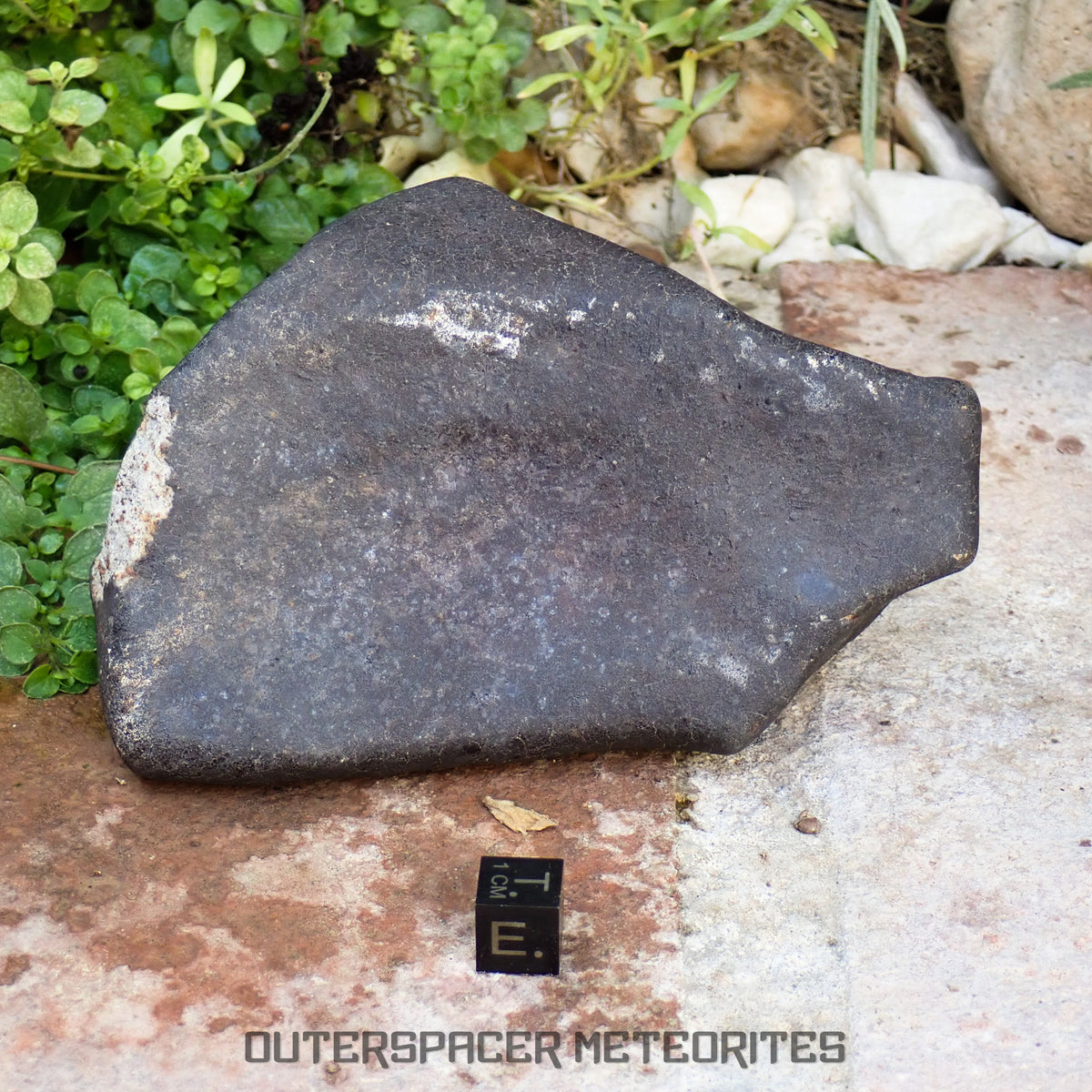 Hammadah al Hamra 346 (aka. Ghadamis) - L6 Ordinary Chondrite 825g