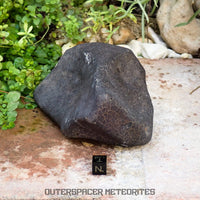 Hammadah al Hamra 346 (aka. Ghadamis) - L6 Ordinary Chondrite 825g