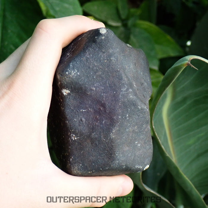 Hammadah al Hamra 346 (aka. Ghadamis) - L6 Ordinary Chondrite 1154g