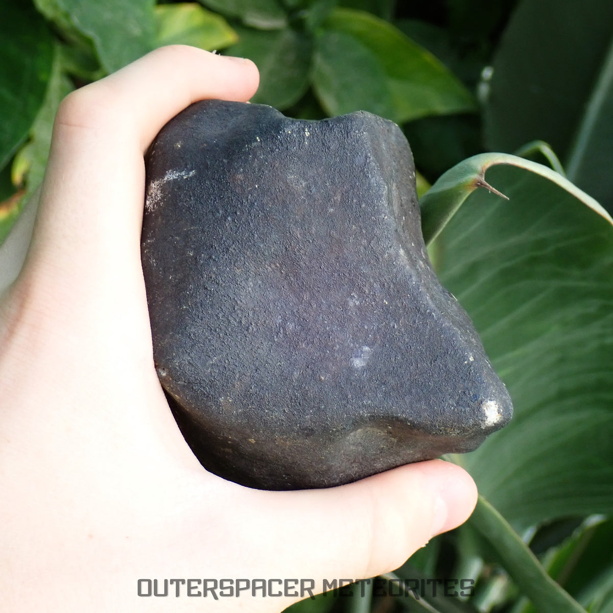 Hammadah al Hamra 346 (aka. Ghadamis) - L6 Ordinary Chondrite 1154g