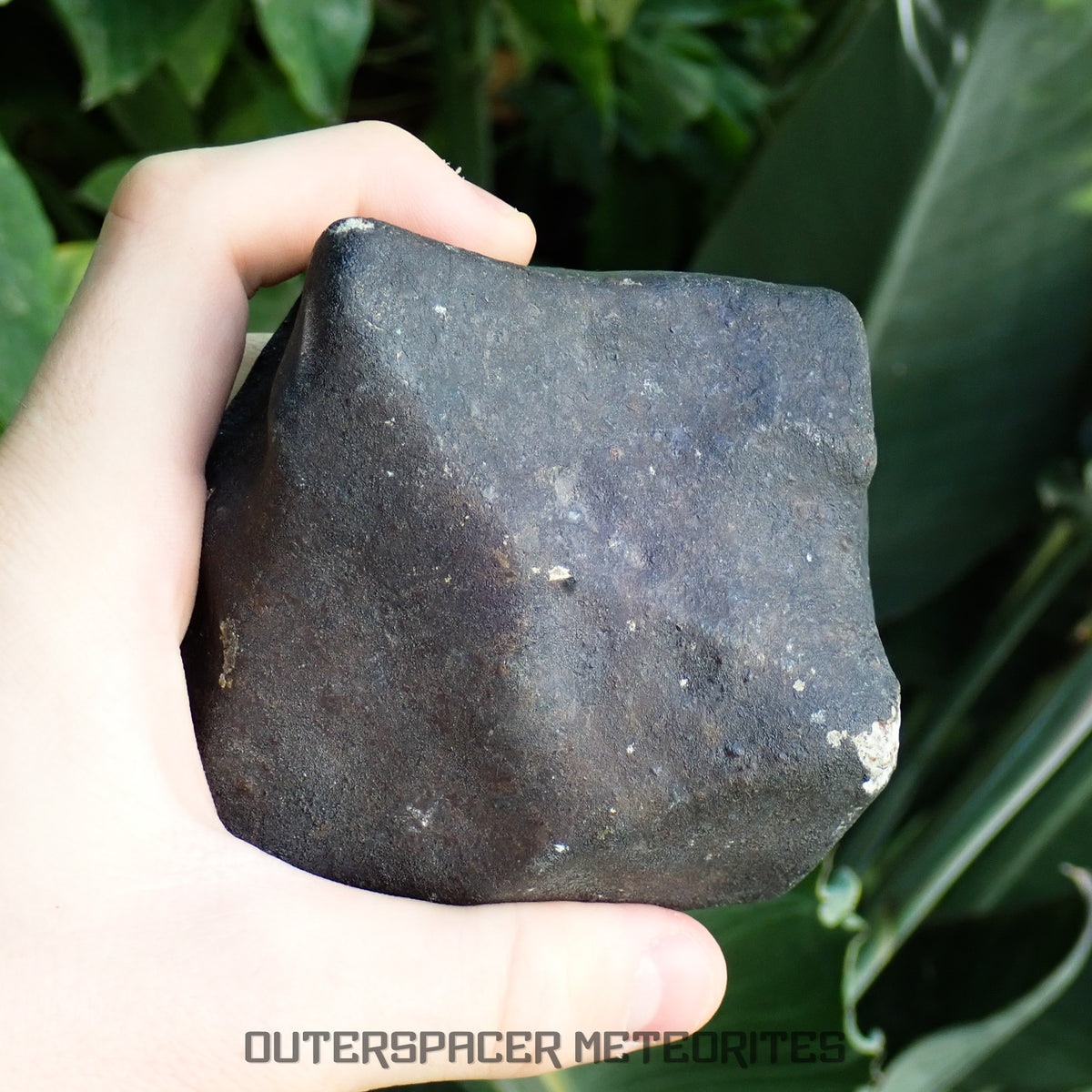 Hammadah al Hamra 346 (aka. Ghadamis) - L6 Ordinary Chondrite 1154g