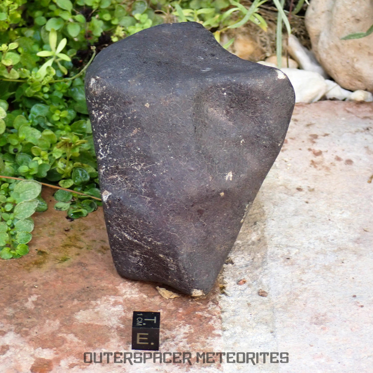Hammadah al Hamra 346 (aka. Ghadamis) - L6 Ordinary Chondrite 1154g