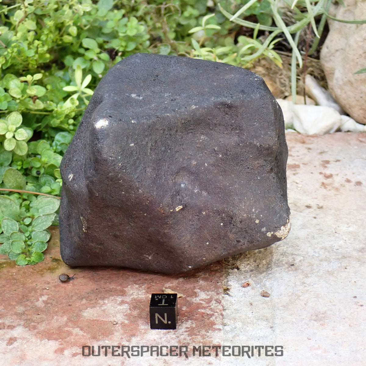 Hammadah al Hamra 346 (aka. Ghadamis) - L6 Ordinary Chondrite 1154g