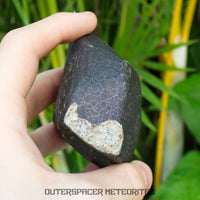Hammadah al Hamra 346 (aka. Ghadamis) - L6 Ordinary Chondrite 561g