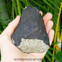 Hammadah al Hamra 346 (aka. Ghadamis) - L6 Ordinary Chondrite 561g