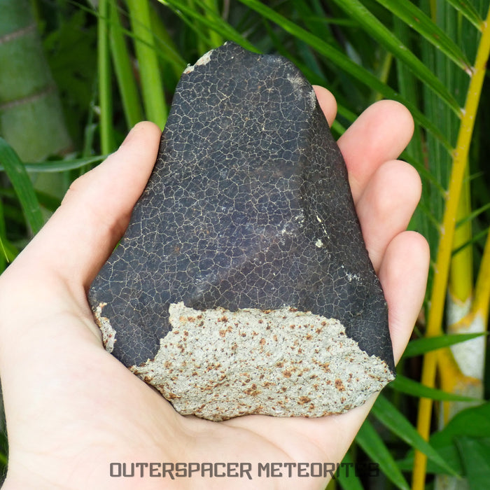 Hammadah al Hamra 346 (aka. Ghadamis) - L6 Ordinary Chondrite 561g