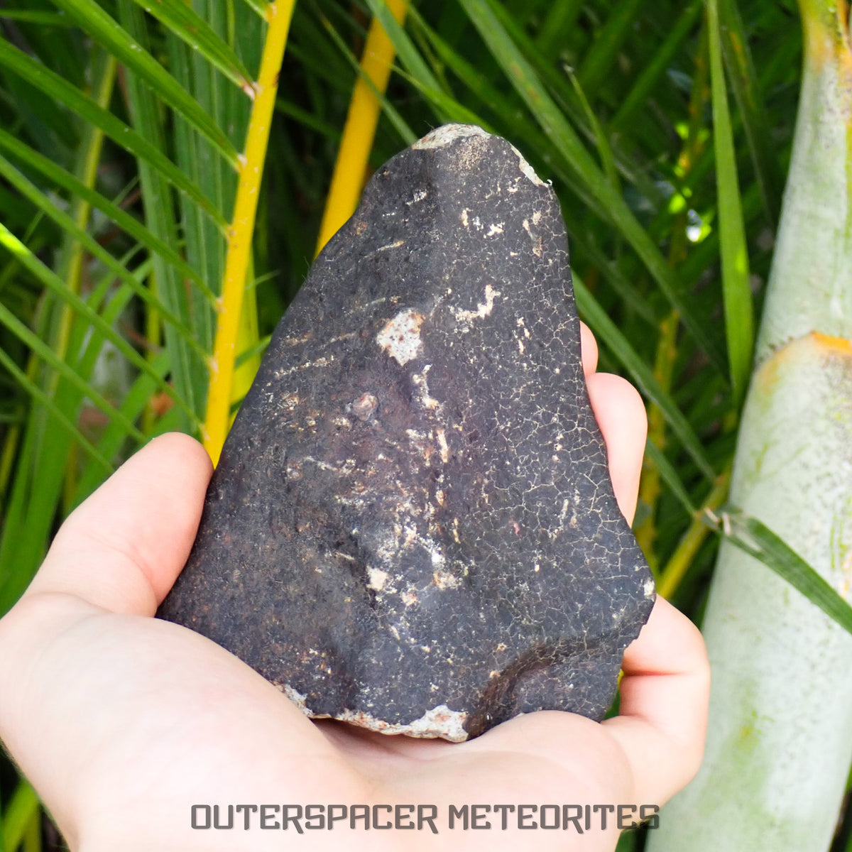Hammadah al Hamra 346 (aka. Ghadamis) - L6 Ordinary Chondrite 561g