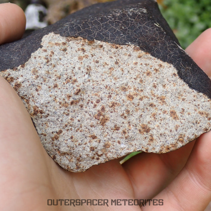Hammadah al Hamra 346 (aka. Ghadamis) - L6 Ordinary Chondrite 561g