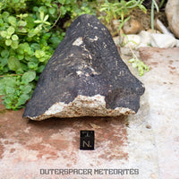 Hammadah al Hamra 346 (aka. Ghadamis) - L6 Ordinary Chondrite 561g