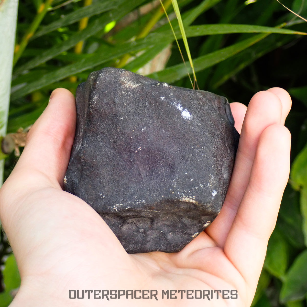 Hammadah al Hamra 346 (aka. Ghadamis) - L6 Ordinary Chondrite 854g