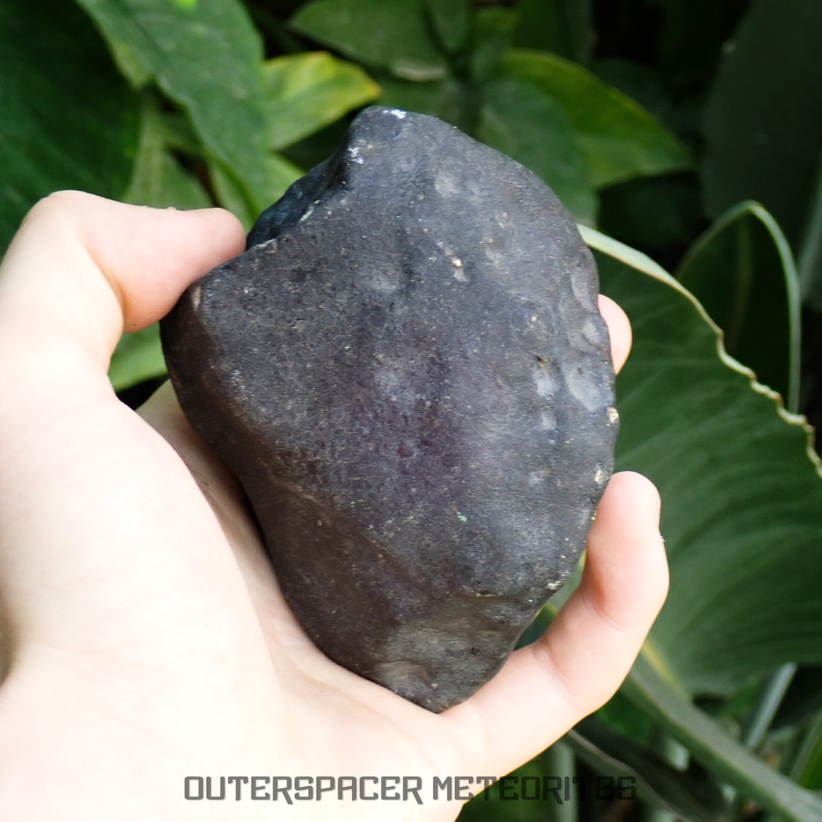 Hammadah al Hamra 346 (aka. Ghadamis) - L6 Ordinary Chondrite 854g