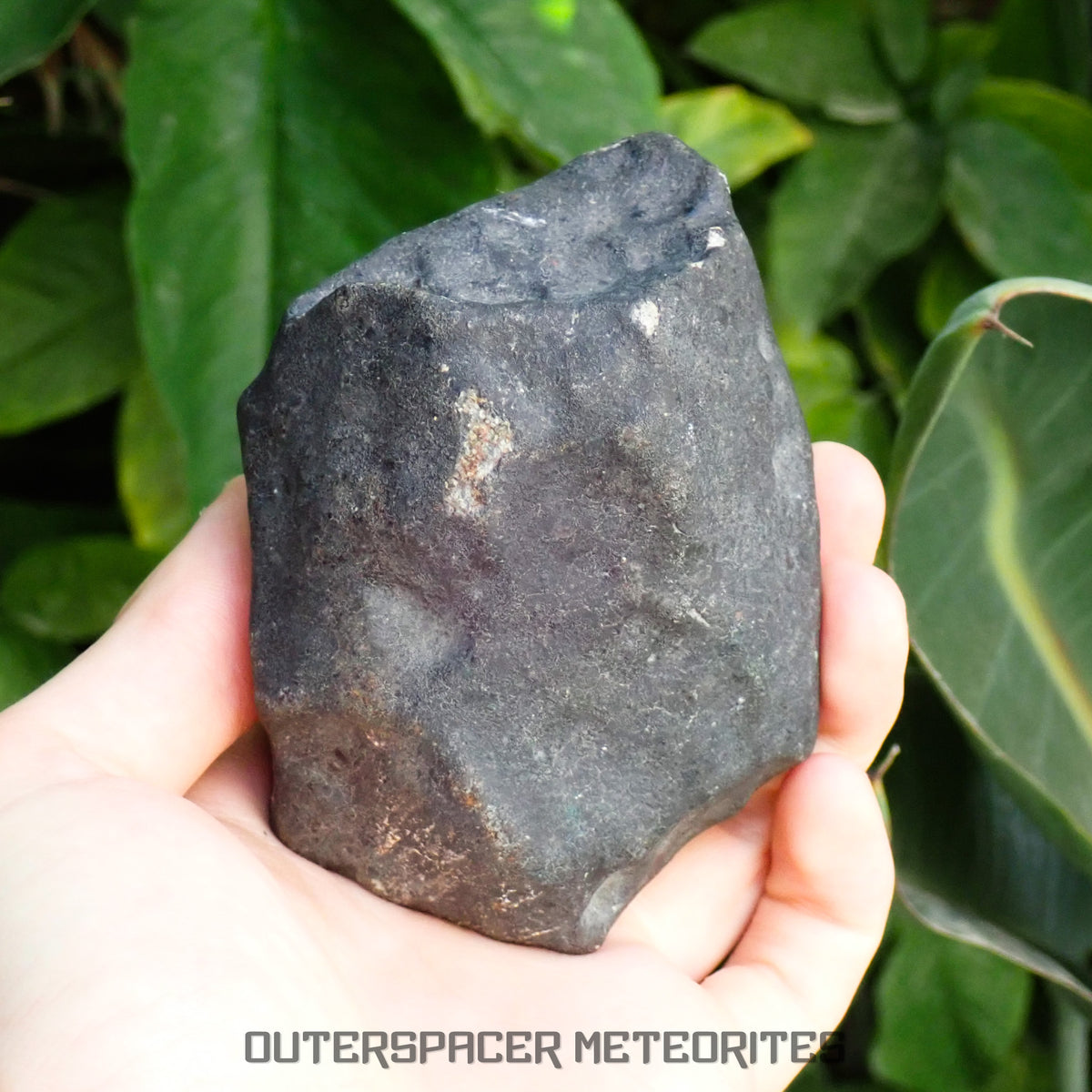 Hammadah al Hamra 346 (aka. Ghadamis) - L6 Ordinary Chondrite 854g