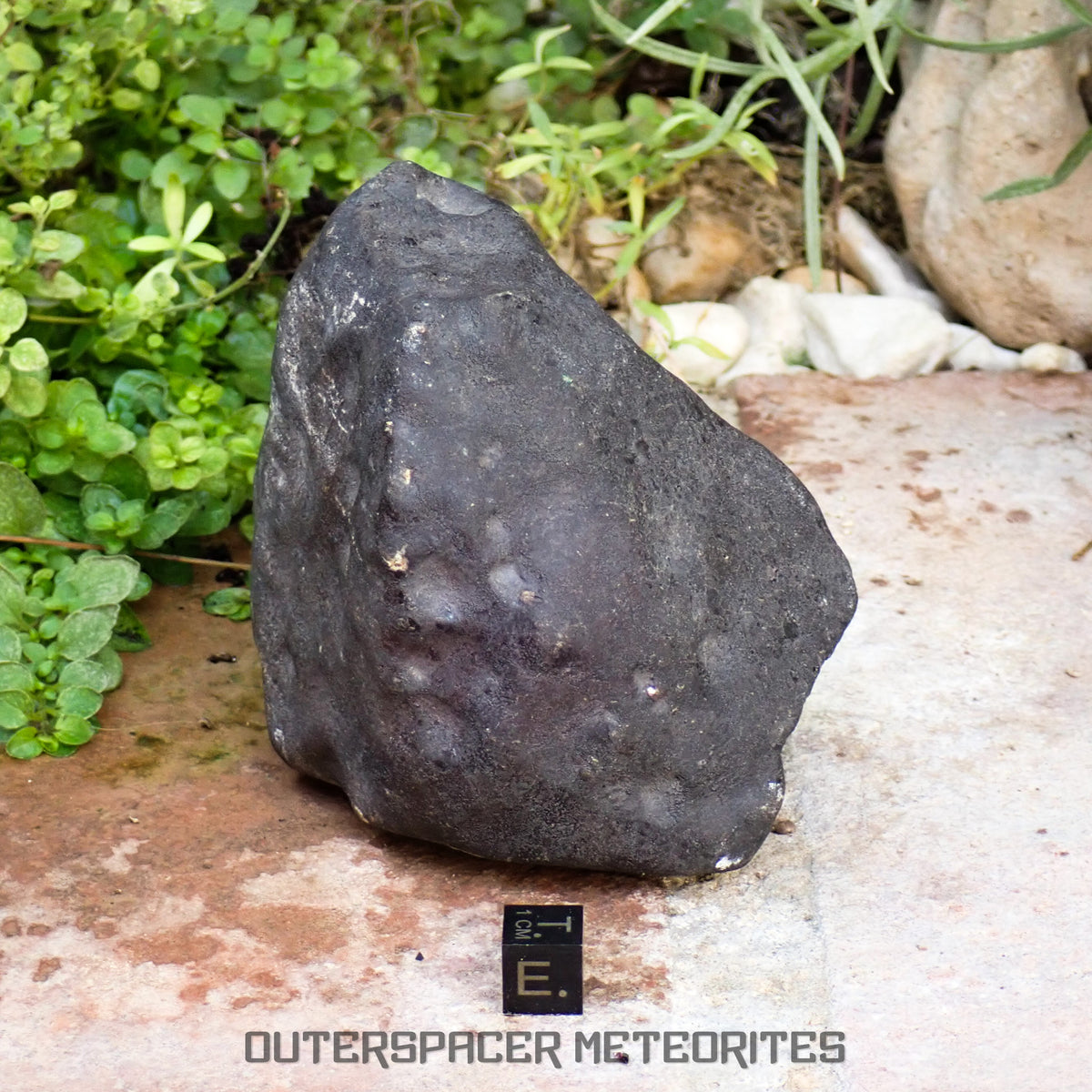 Hammadah al Hamra 346 (aka. Ghadamis) - L6 Ordinary Chondrite 854g