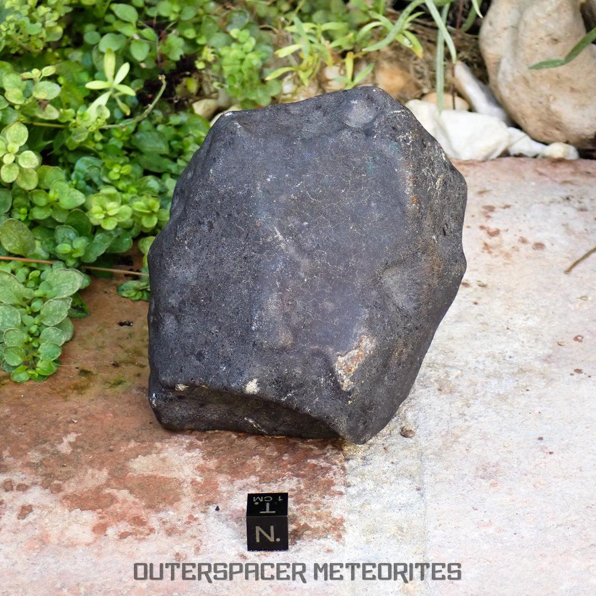 Hammadah al Hamra 346 (aka. Ghadamis) - L6 Ordinary Chondrite 854g