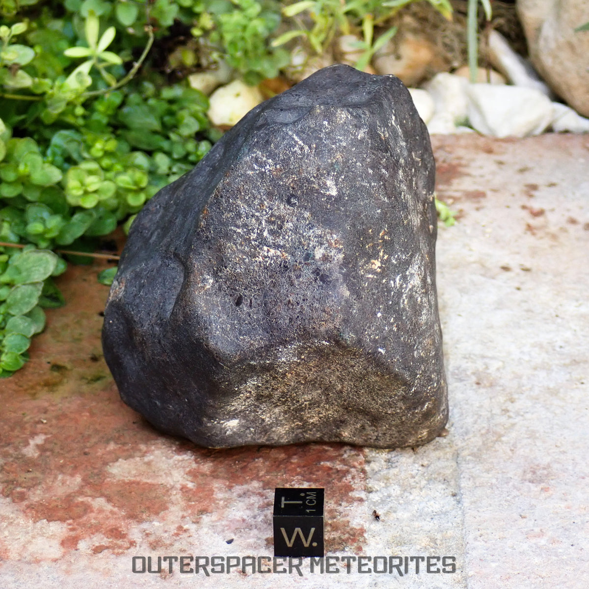 Hammadah al Hamra 346 (aka. Ghadamis) - L6 Ordinary Chondrite 854g