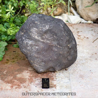 Hammadah al Hamra 346 (aka. Ghadamis) - L6 Ordinary Chondrite 854g