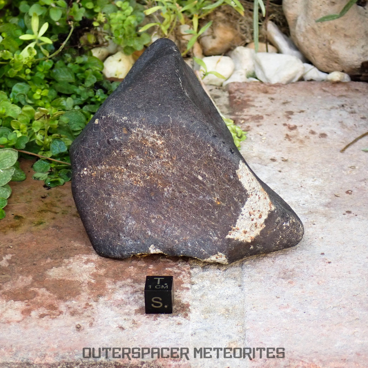 Hammadah al Hamra 346 (aka. Ghadamis) - L6 Ordinary Chondrite 1226g