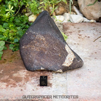 Hammadah al Hamra 346 (aka. Ghadamis) - L6 Ordinary Chondrite 1226g