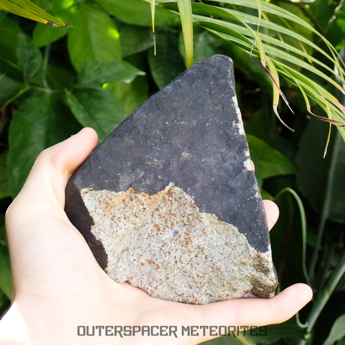 Hammadah al Hamra 346 (aka. Ghadamis) - L6 Ordinary Chondrite 1226g