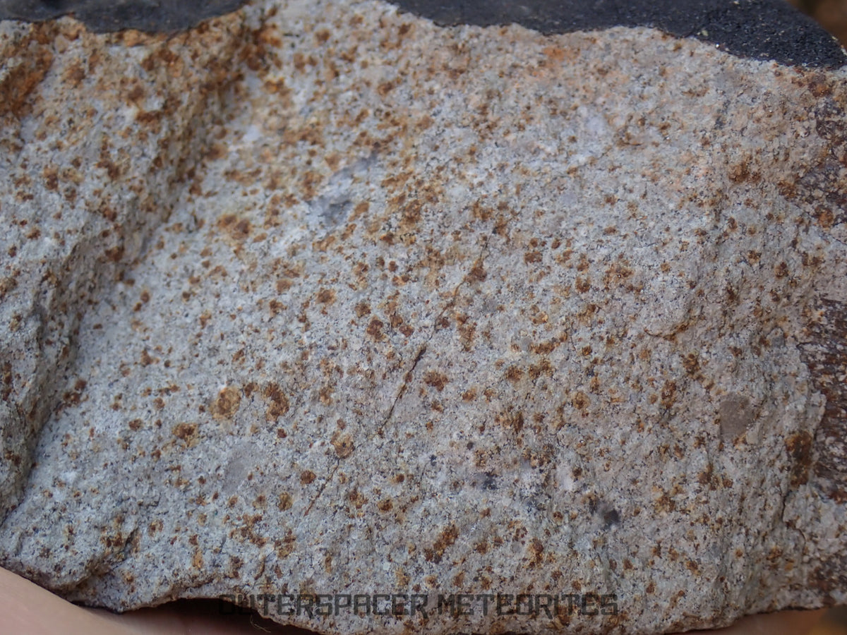 Hammadah al Hamra 346 (aka. Ghadamis) - L6 Ordinary Chondrite 1226g