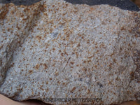 Hammadah al Hamra 346 (aka. Ghadamis) - L6 Ordinary Chondrite 1226g