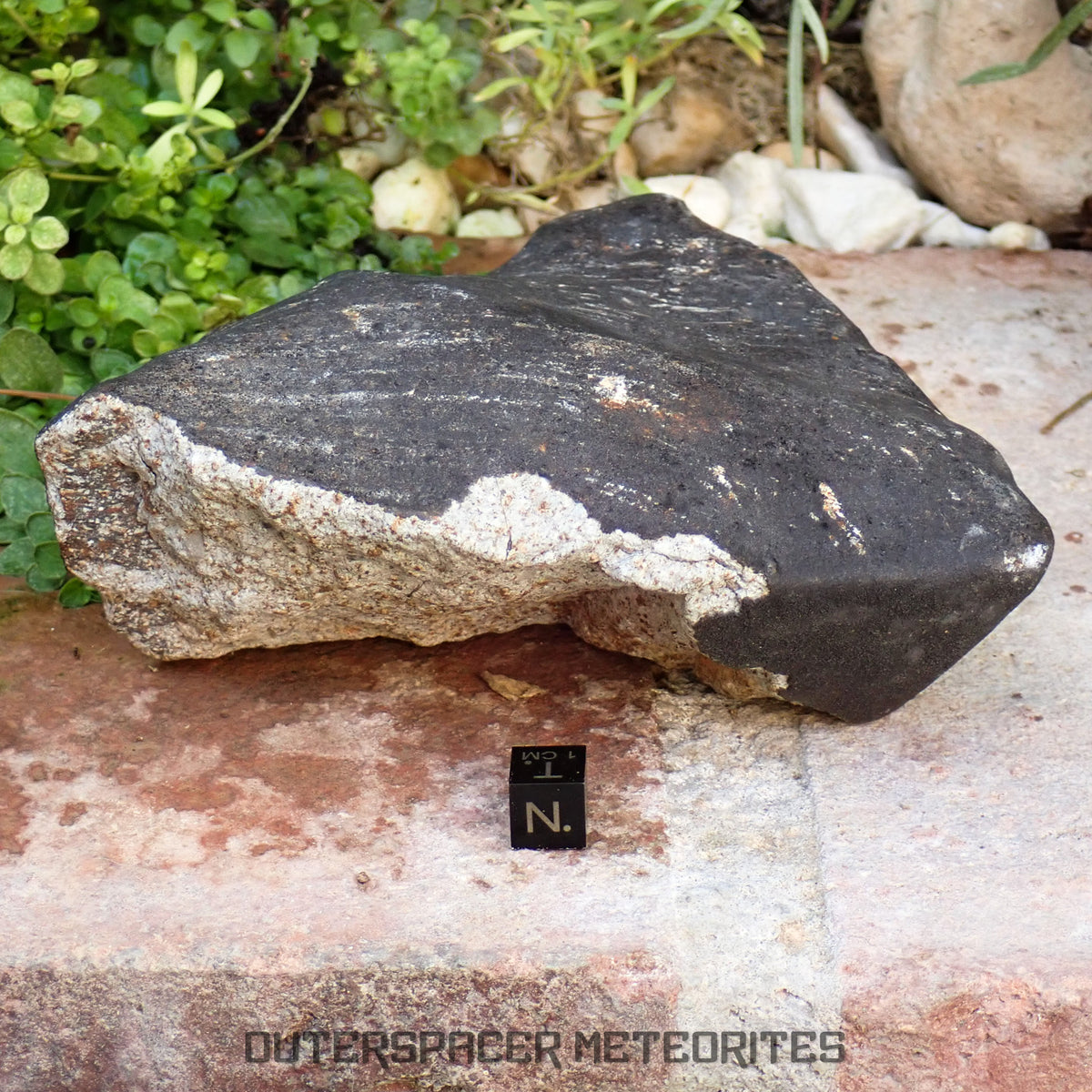 Hammadah al Hamra 346 (aka. Ghadamis) - L6 Ordinary Chondrite 1226g