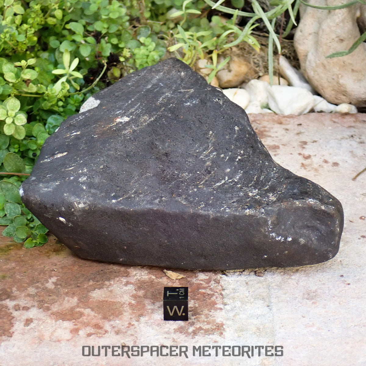 Hammadah al Hamra 346 (aka. Ghadamis) - L6 Ordinary Chondrite 1226g