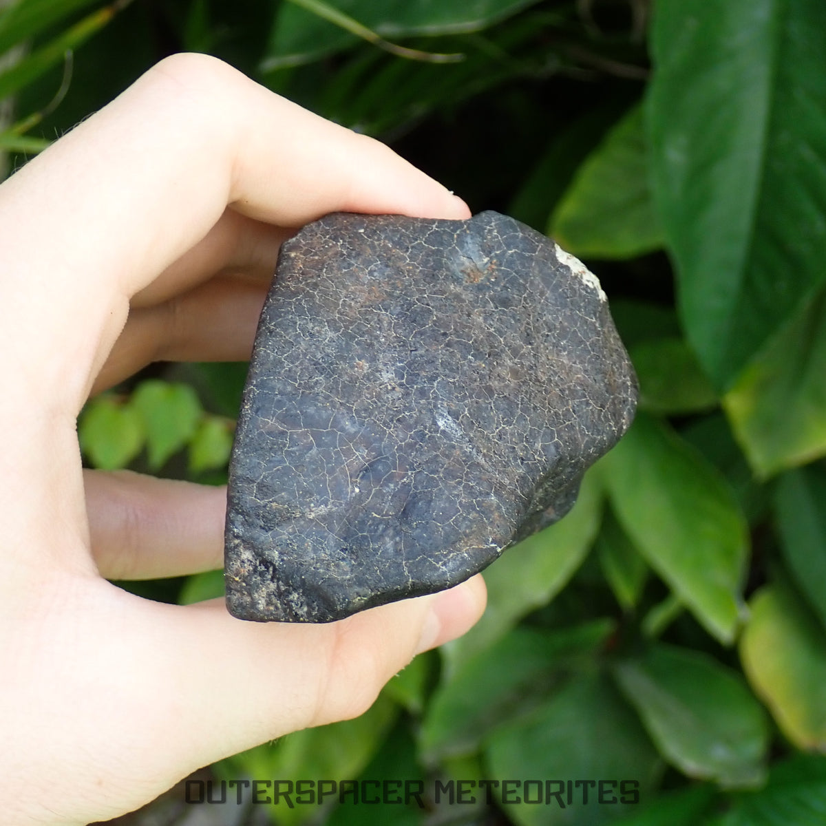 Hammadah al Hamra 346 (aka. Ghadamis) - L6 Ordinary Chondrite 375g