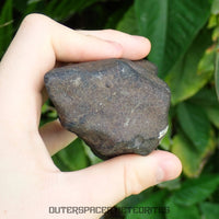 Hammadah al Hamra 346 (aka. Ghadamis) - L6 Ordinary Chondrite 375g