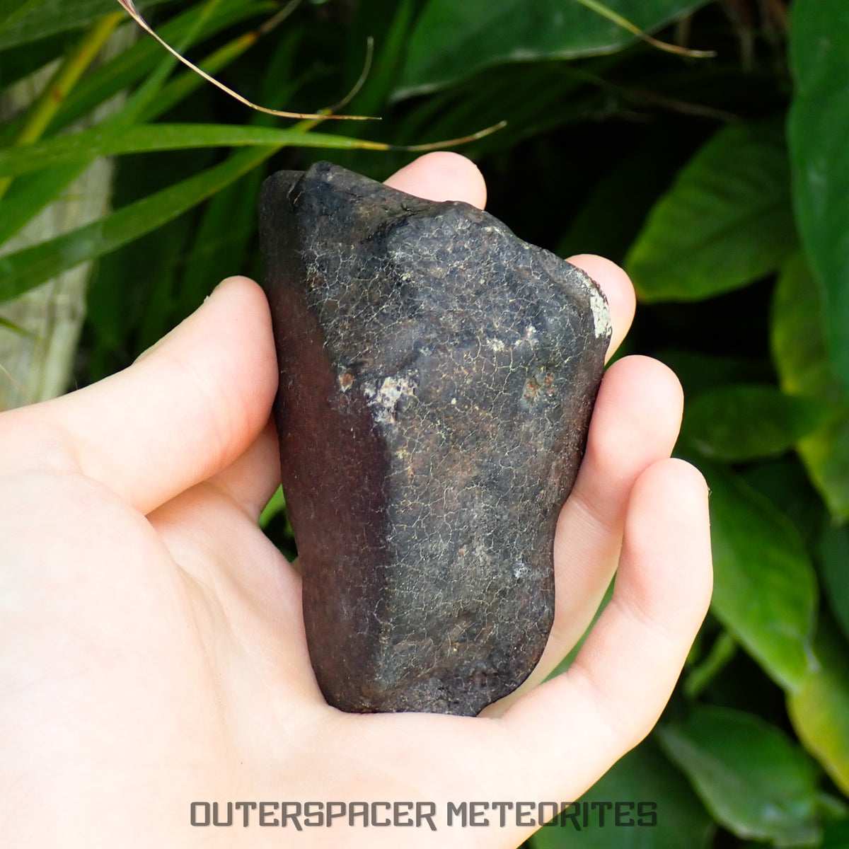 Hammadah al Hamra 346 (aka. Ghadamis) - L6 Ordinary Chondrite 375g