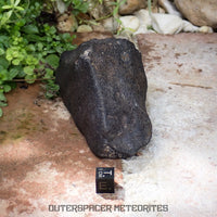 Hammadah al Hamra 346 (aka. Ghadamis) - L6 Ordinary Chondrite 375g